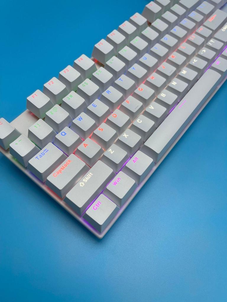 H87 Mechanical Wired Keyboard with Blue Switches for Gaming and Office