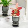 Self Watering Flowerpot with Transparent Bottle and Water Level Indicator for Indoor Plants Self-Absorbing Planter with Double-Layer Ventilation