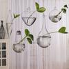 Creative Hanging Glass Vase Hydroponics Plant Vases Flower Pot Terrarium Container Party Wedding Home Decoration Garden Supplies