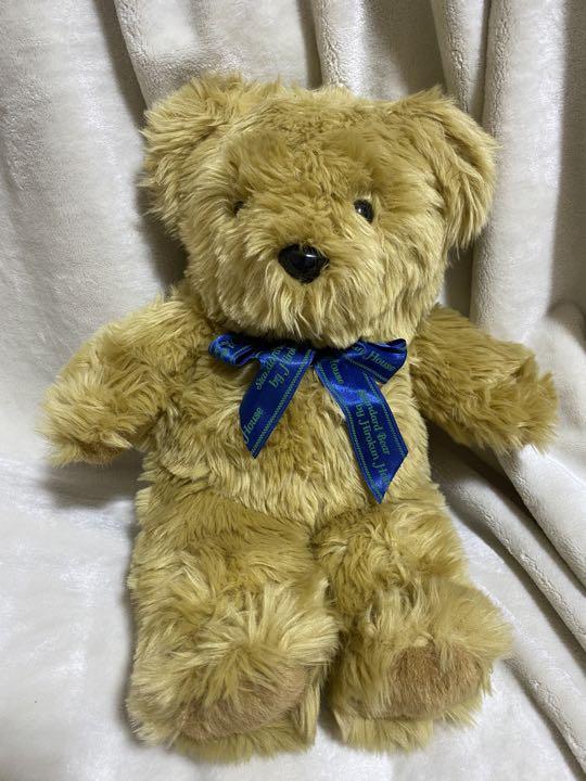 [USED] Brown Teddy Bear