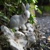 Garden Statues Rabbit Figurine Ornaments Micro Landscape DIY  Decorations Easter Bunnies Statue Patio Fairy Garden Decoration