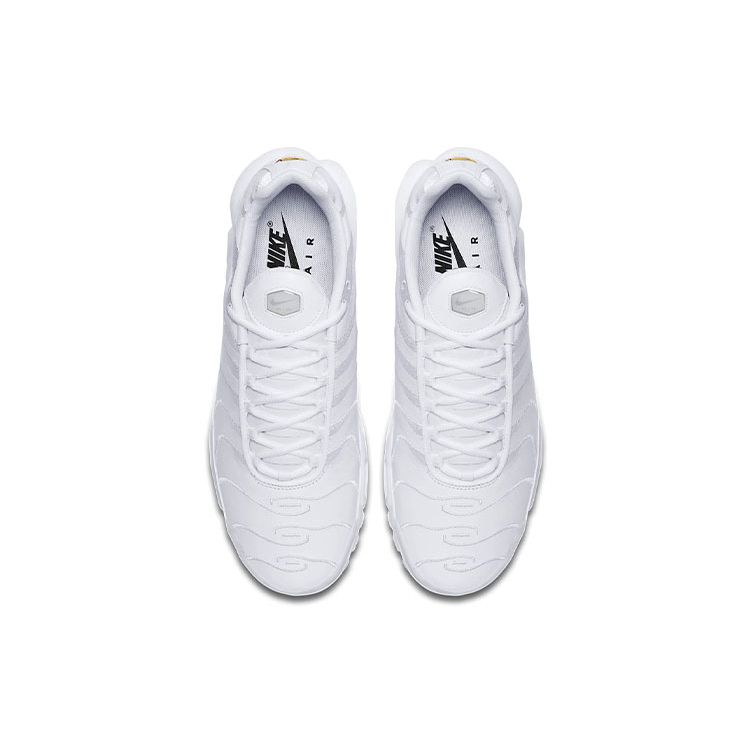 Nike Air Max Plus Triple White AJ2029-100