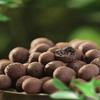 500g/pack Leca Balls Clay Pebbles For Plants, Clay Pebbles For Hydroponic Growing,