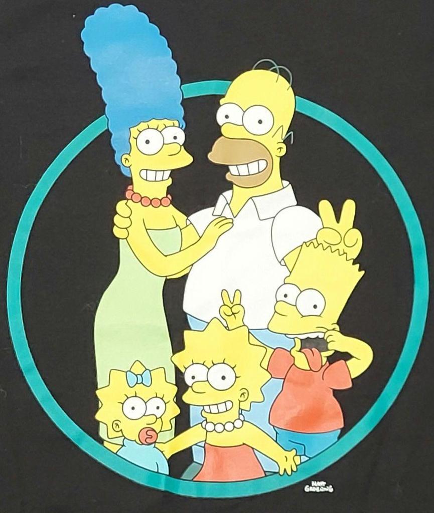 [USED] Billabong The Simpsons T-shirt, Size L