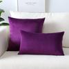 Velvet Solid Pillow Cover Removable Washable Sofa Cushion Case Soft Cozy Home Decor Elegant Comfortable Accent