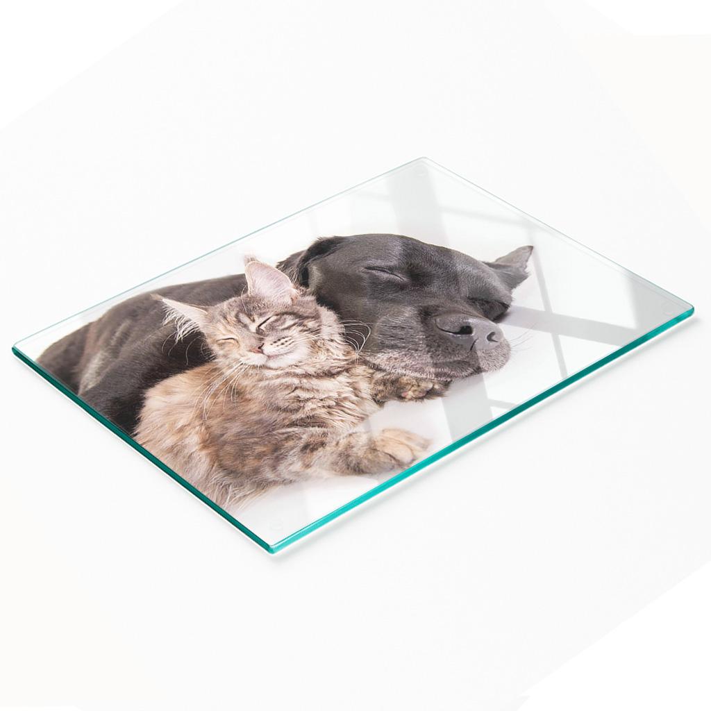 Decorative Tempered Glass Kitchen Chopping Board Dog and Cat 80x52 cm