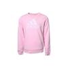 Adidas Kids Sweatshirts Crew Neck Moderate IC6119