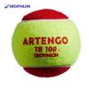 Decathlon TEN TB100 Training Tennis Balls