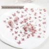 Hand-Painted Butterfly & Dried Rose Nail Stickers