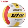 Star Indoor Student Training & Exam Volleyball