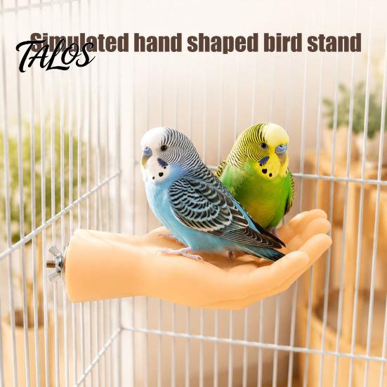 Realistic Hand Bird Perch Hand-Shaped Parrot Perch, Stand with Screw Fastener, Training for Birds Cage Budgie Cockatiels, Desensitization Interactive