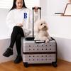 Pet Forest Transparent Large Capacity Pet Trolley Carrier