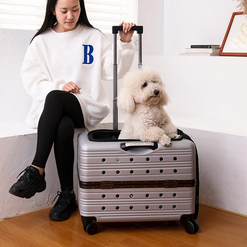 Pet Forest Transparent Large Capacity Pet Trolley Carrier