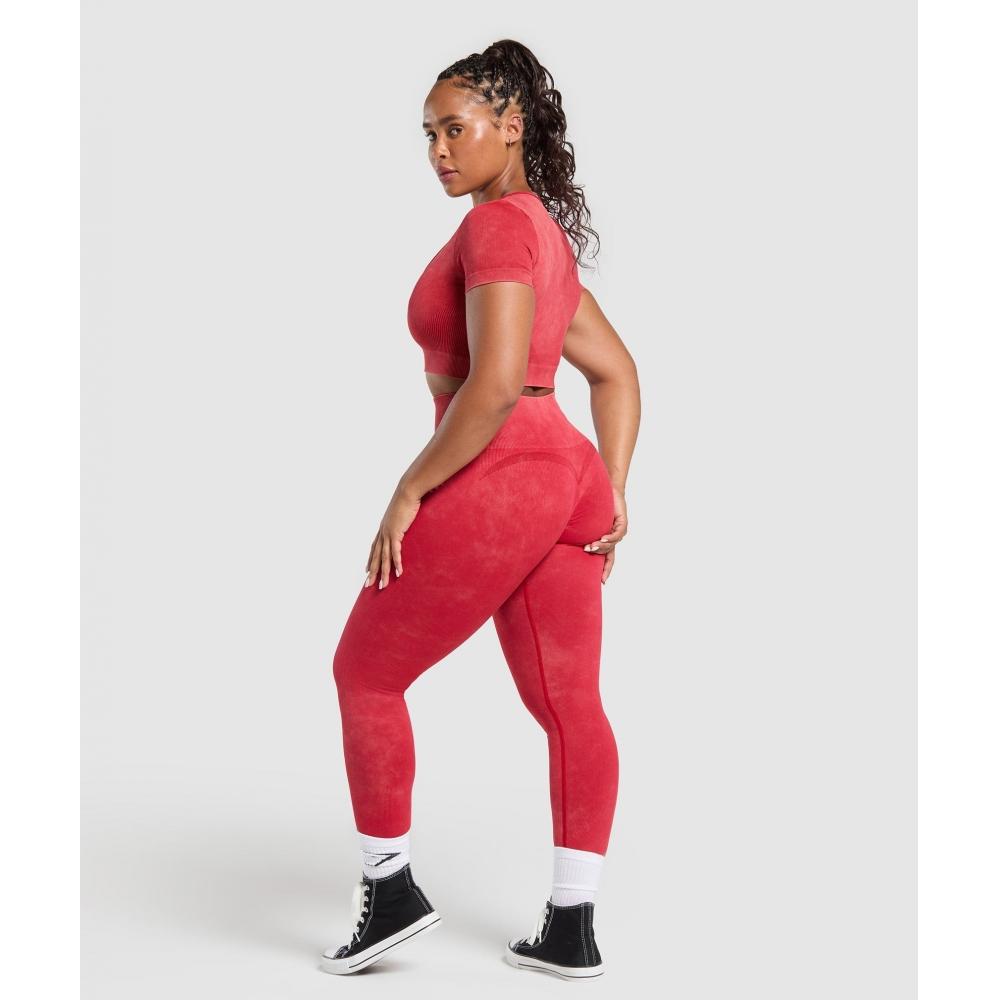 Gymshark Gains Seamless Leggings Carmine Red B9a1z Rb2q