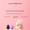 10 pcs/set Mini Beauty Egg Makeup Sponge Cosmetic Puff Dry Wet Makeup Sponge Puff Cushion Foundation Powder Make Up Accessories