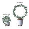 Plant Circle Trellis Climbing Plants Coated Wire Trellis Planter Insert Heart Shape Trellis Small