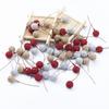 50/100Pcs Artificial Fruit Foam Stamen Cherry Gold Silver Flowers DIY Christmas Craft Decor Box Wedding Home Room Party Supplies