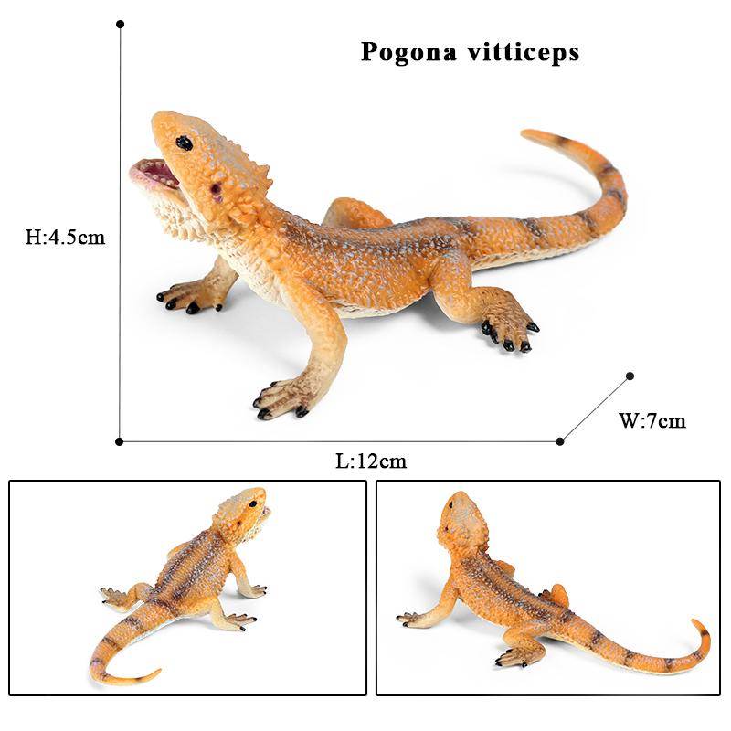 Oenux Simulation Reptile Lizard Chameleon Geckos Insect Animals Model Action Figure Collection Toys Kids Gift Home Decorations