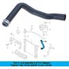 Water Pump Cooling Pipe for C180 C200 C230 CL203 Auto Accessories A2035010882 Engine Upper Radiator Coolant Water Hose