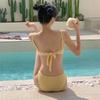 Retro Simple Pure Desire Small Fragrance Suspender Bikini Split Swimsuit