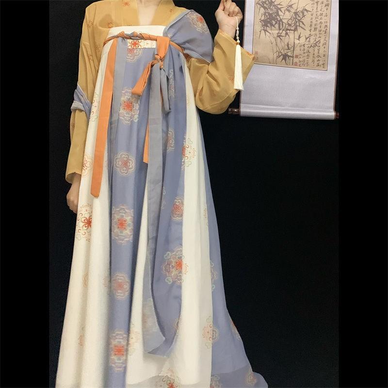 Womens Tang Dynasty Style Hanfu Dress With 3D Printed Wrap Skirt Chiffon Outfit