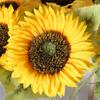 Fake Artificial Sunflowers Silk Floral Arrangement New Flowers Bouquet  Home Decoration