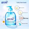 Blue Moon Wild Chrysanthemum Hand Soap & Disinfectant Floor Cleaner Set