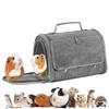 Transparent Outdoor Bird Carrier for Parrots, Cockatiels, Pigeons & Small Pets