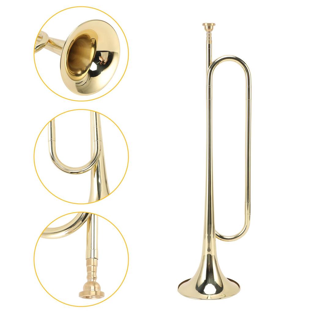 Btuty Trumpet for Beginners and Students, Brass Construction, Bright Tone, Large Bell Design, School Band Practice, Professional Orchestra Compatible,