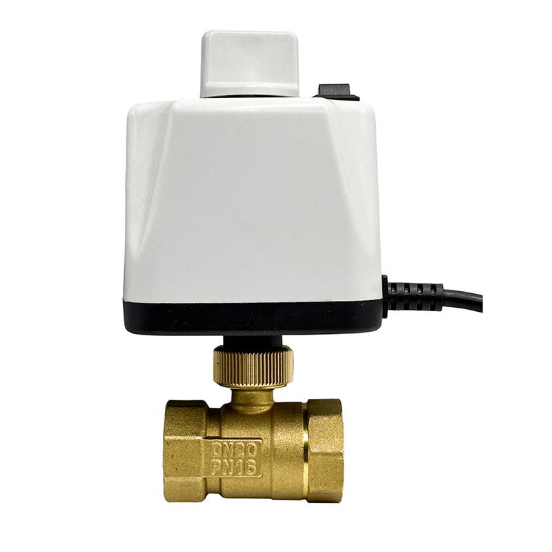 1/2" 3/4" 1" 2" Motorized Ball Valve With Manual Switch Brass 2-Wire DN15 DN20 DN25 DN50 Electric Ball Valve 220V 110V 24V 12V