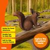 Schleich Wildlife Squirrel 14936