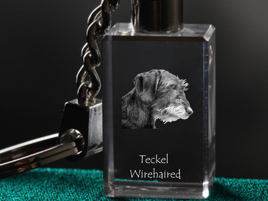 Dachshund Wire-haired, Wiener dog, Badger dog I - Crystal key ring with dog photo, illuminated key ring, unique gift by Art-Dog brand