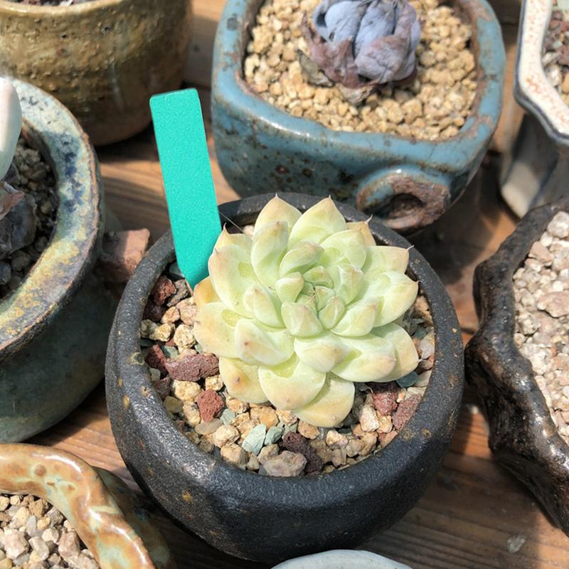 100Pcs 5*1cm Waterproof Plastic Plant Tags Garden Plant Labels Nursery Markers Flower Pots Seedling Labels Tray Garden Tools