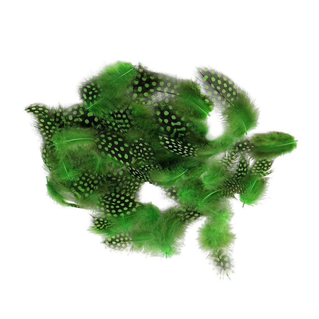 Set of 50 Pheasant Rooster Feathers Chicken Feathers Costume Millinery Craft