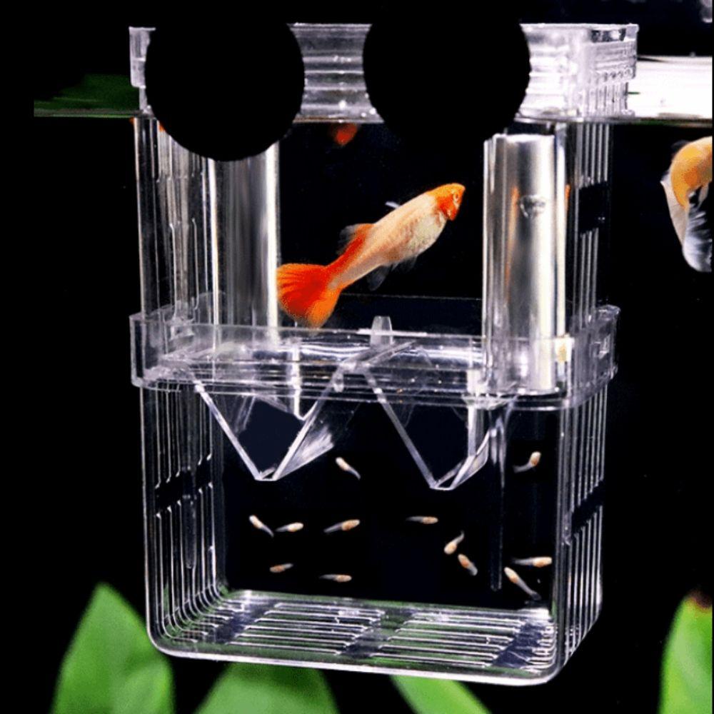 Multi Size Aquarium Breeder Box Acrylic Fish Breeding Isolation Box Betta Fish Tank Divider Shrimp