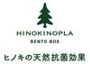 Tatsumiya HINOKINOPLA Oval Lunch 30475 Einlagige Box, Weiß, Größe ca.. B16.2 T11.3 H5.9