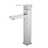 304 Stainless Steel Hot & Cold Basin Faucet
