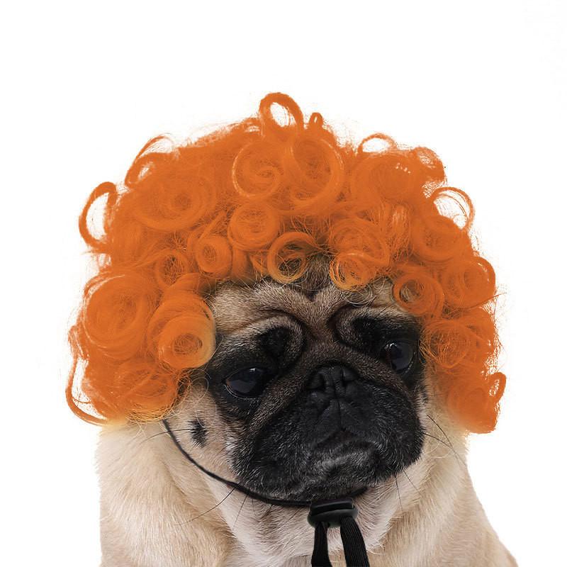 Adorable Black Color Pet Wig For Dogs And Cats With Funky Afro Style For Halloween Festivities