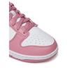 Nike Dunk Low Next Nature Sneakers