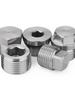 1/8" 1/4" 3/8" 1/2" 3/4" 1" -1-1/2" BSP NPT Maschio Svasato Flangiato Esagonale Quadrato Tappo 304 Acciaio Inossidabile Raccordo per Tubi