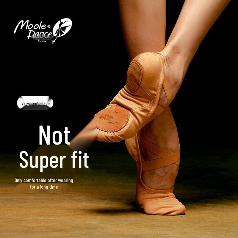 Elastic Fabric Soft Sole Ballet Dance Shoes 43