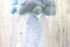 Jellyfish Medium Light Blue