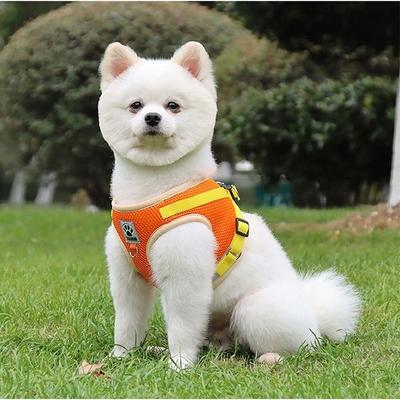 Laa Comfortable Harness + Leash Set, Orange
