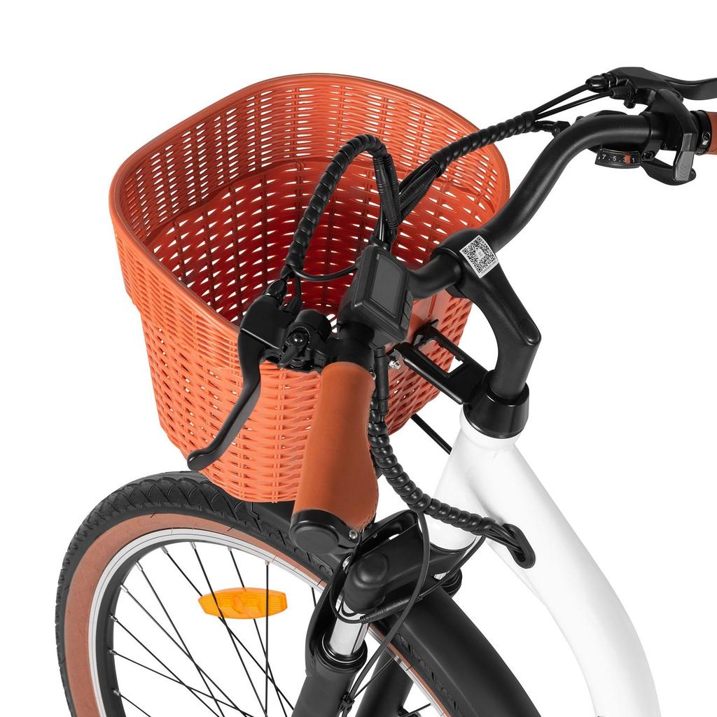 DYU C6 Pro City E-Bike With TowSeat 250W Motor 36V15.6AH Removable Battery Electric Bike 26 Inch Tire Urban Commuting Adult Electric Bicycle