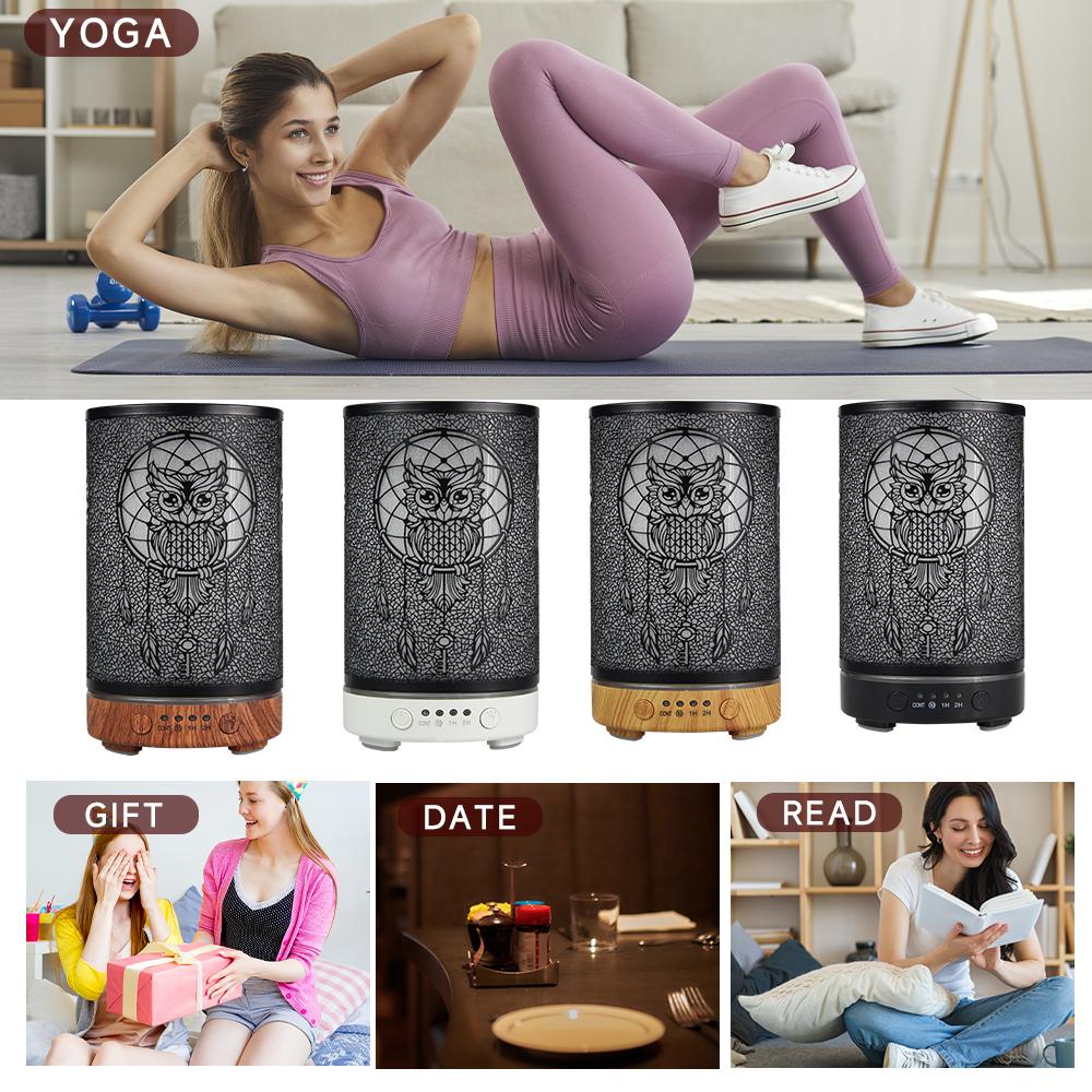 Humidifier Electric Aroma Air Diffuser Owl Ultrasonic Air Humidifier Essential Oil Aromatherapy Cool Mist Maker for Home