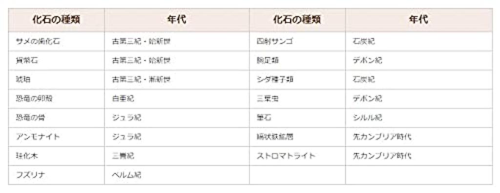 SCIENCE of 15 Fossil Specimens with Explanation Boxed of Box 130 X 200 X H15 Kaseki FOSSILS SPECIMENS 15 "Set (made Paper) Size Mm" Hyōhon