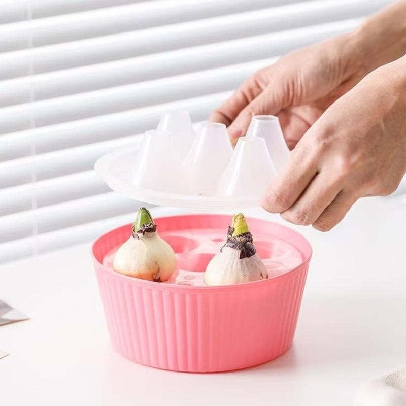 Multifunctional Hydroponic Planter With Dividers Shatterproof Plastic Water Planting Container For Hyacinth Growing