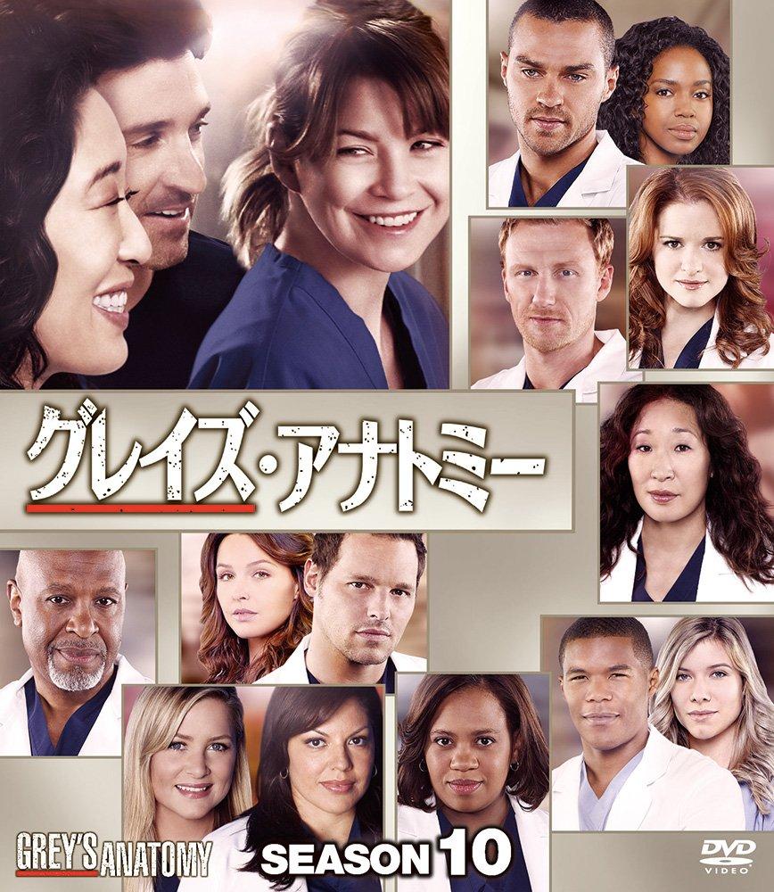 Anatomy Season 10 Compact Box Grey's [DVD]