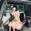Summer new Korean version V-neck floral chiffon dress female student medium and long oil painting skirt series skirt