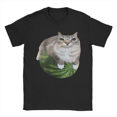 Men Watermelon Cat Silly Cat Meme T-Shirts Top Tees Summer Aesthetic Short-Sleeve T-Shirt O-Neck Harajuku Tee Shirt Plus Size